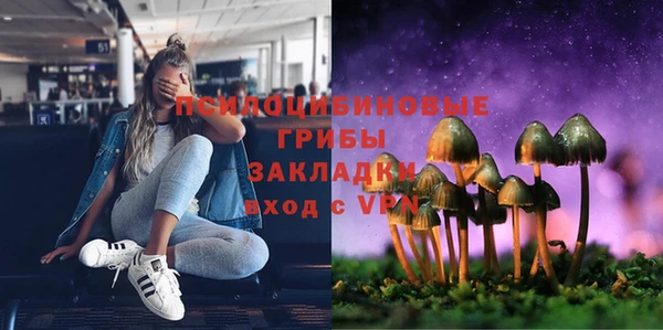 дмт Аркадак